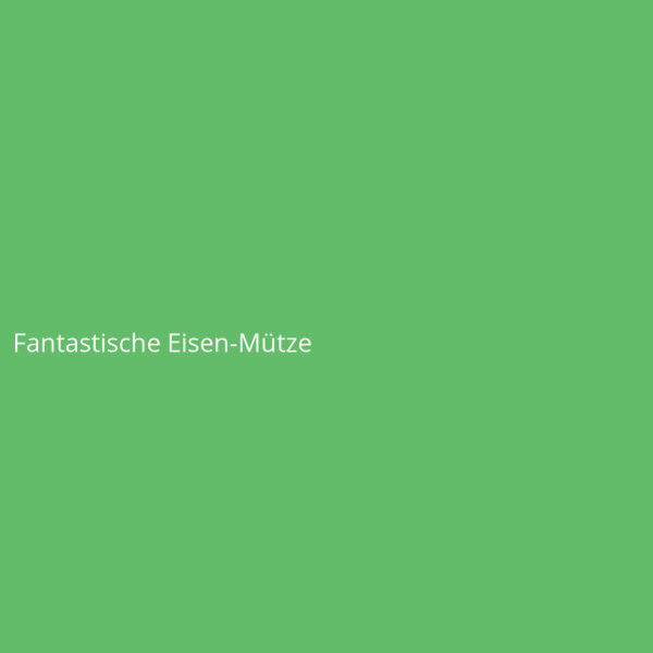 Fantastische Eisen-M&uuml;tze