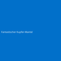 Fantastischer Kupfer-Mantel
