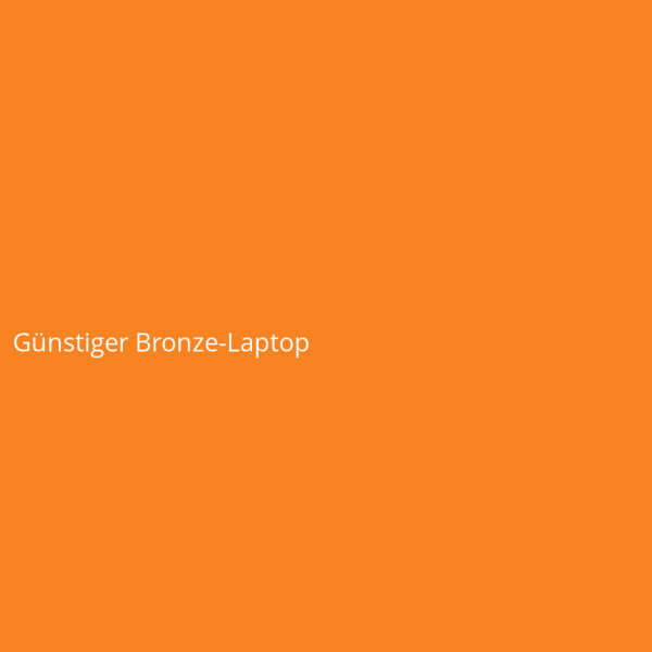 Affordable Bronze Laptop