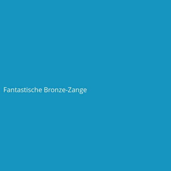 Fantastische Bronze-Zange