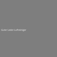 Guter Leder-Luftreiniger