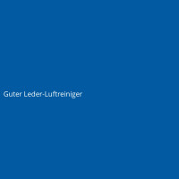 Guter Leder-Luftreiniger