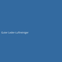 Guter Leder-Luftreiniger