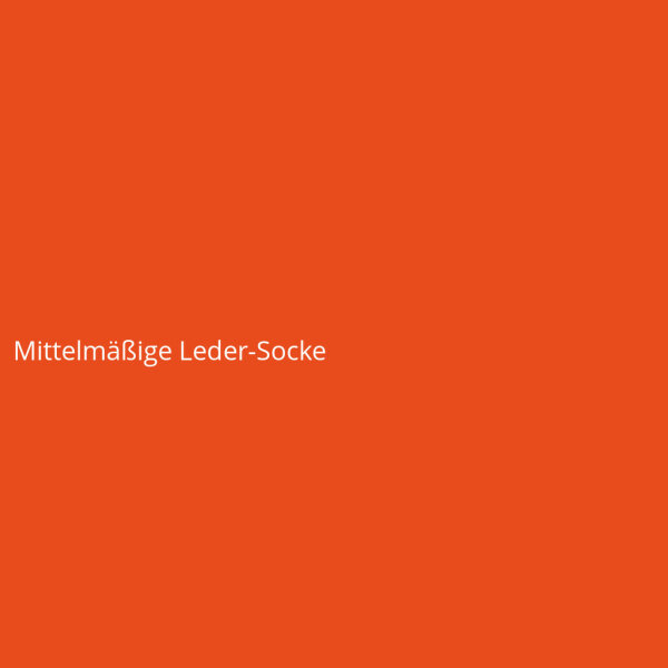 Mediocre Leather Sock
