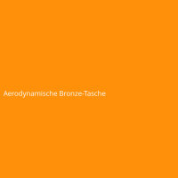 Aerodynamische Bronze-Tasche