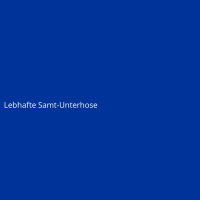 Lively Velvet Underwear