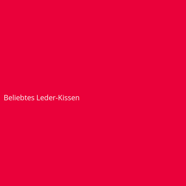 Beliebtes Leder-Kissen