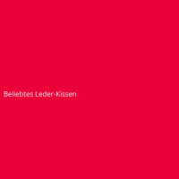Beliebtes Leder-Kissen