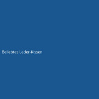 Beliebtes Leder-Kissen