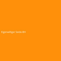 Eigenwilliger Seide-BH