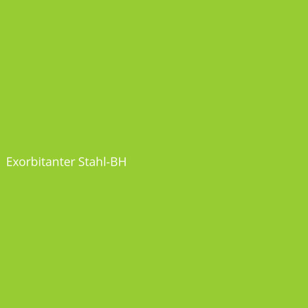 Exorbitanter Stahl-BH